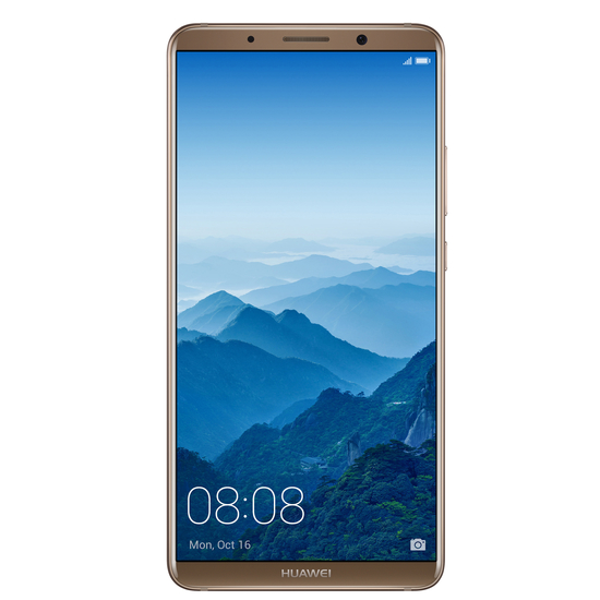 Huawei Mate 10 Pro (BLA-L29) LTE Dual SIM Brown